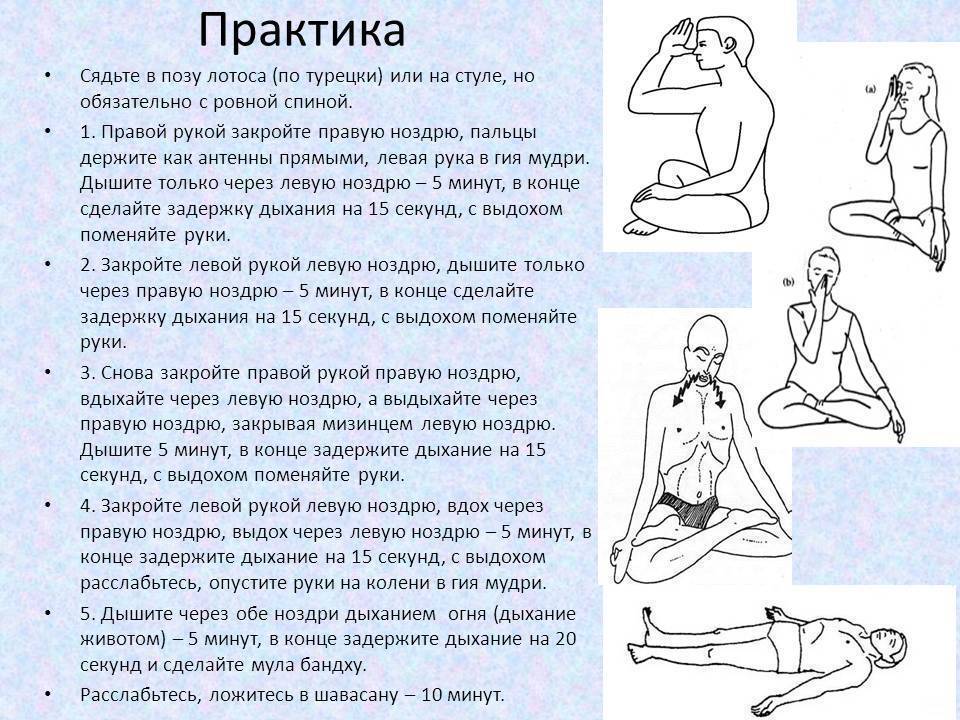 Раджа йога - королевская йога, 8 ступеней йоги - svitlav