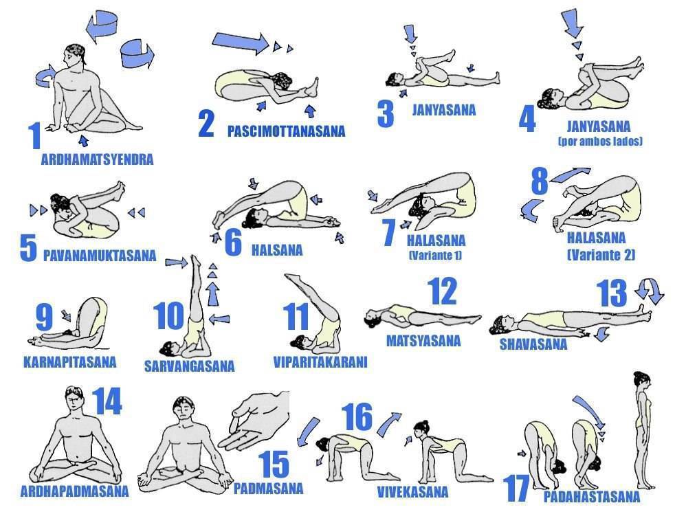 Как освоить простые позы йоги для начинающих: изучение методики