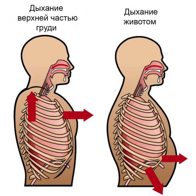 Техника выполнения полного йоговского дыхания: польза и вред, а также видео-инструкция
