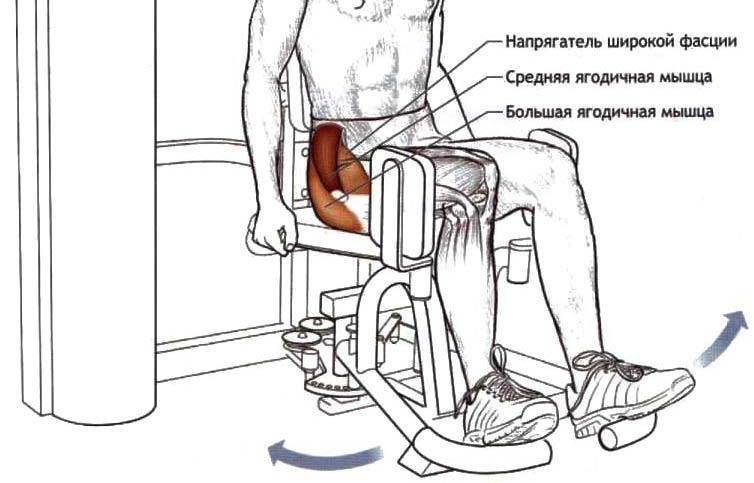 Разведение ног в тренажере сидя: какие мышцы работают и чем можно заменить?
