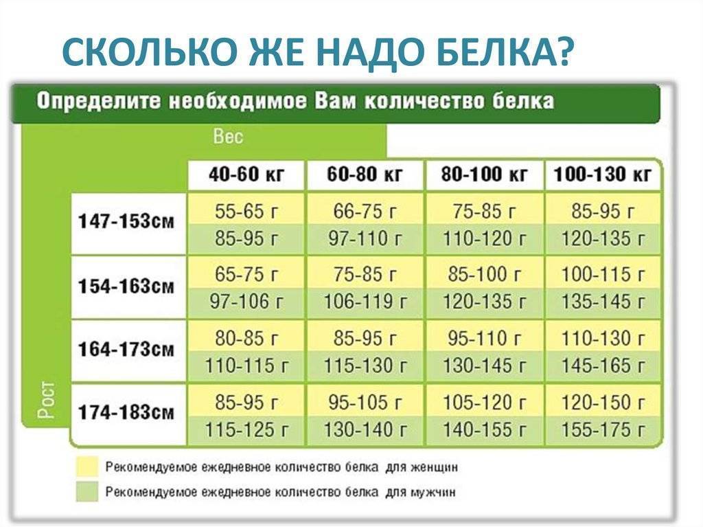 Сколько белка в сутки нужно человеку: нормы потребления, продукты с высоким содержанием белка - tony.ru