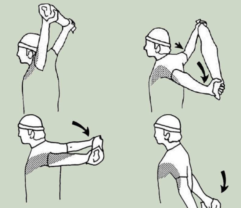 Упражнения для растяжки рук и плеч: примеры, виды, польза