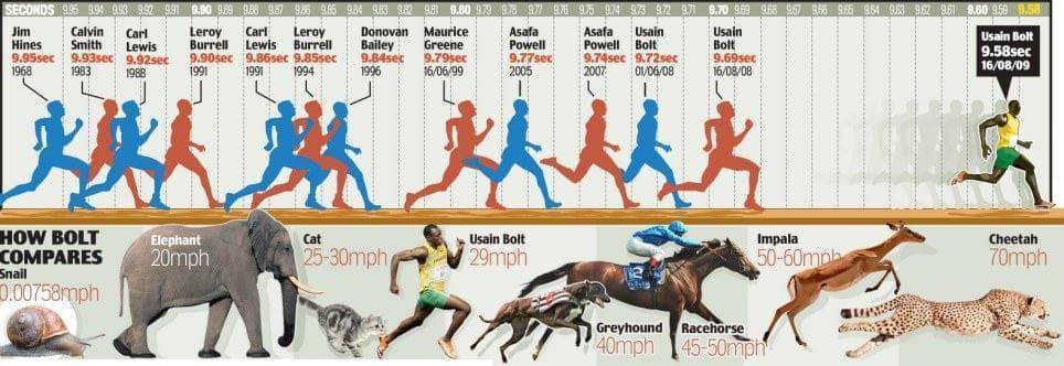 ✅ самые быстрые лошади в мире: средняя скорость бега коня с наездником - tehnomir32.ru