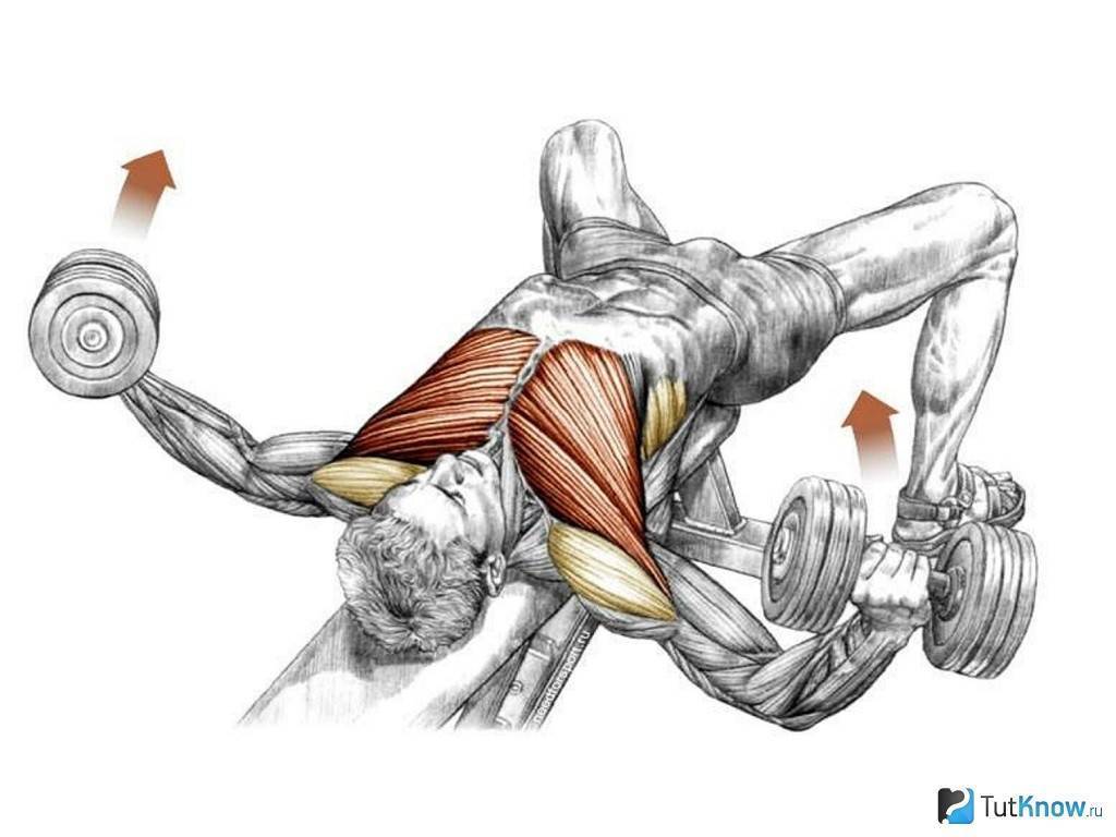 Как накачать мышцы груди (с иллюстрациями) - wikihow