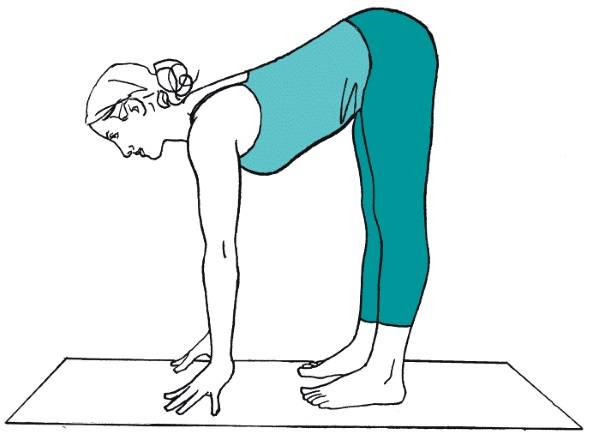 Упражнения йоги для осанки