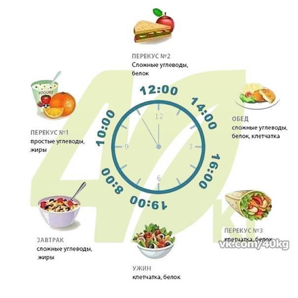 Лечебное диетическое питание: принципы, примеры диет для восстановления сил