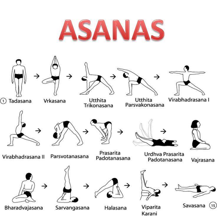 Асаны йоги для начинающих