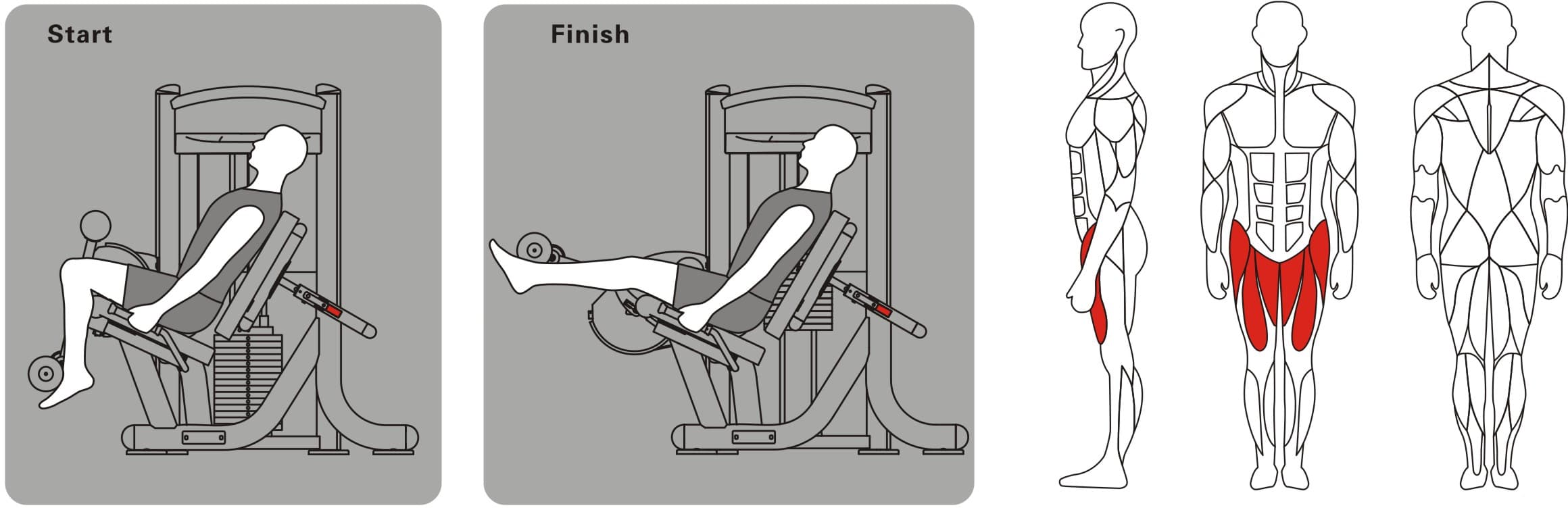 Разгибание ног в тренажере: техника выполнения, польза и недостатки упражнения