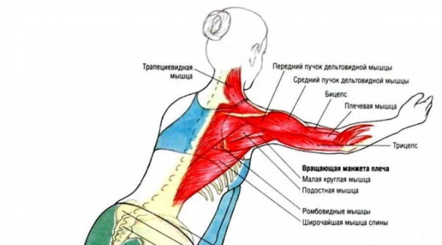 Боль под левой и правой лопаткой сзади со спины: причины, почему болит