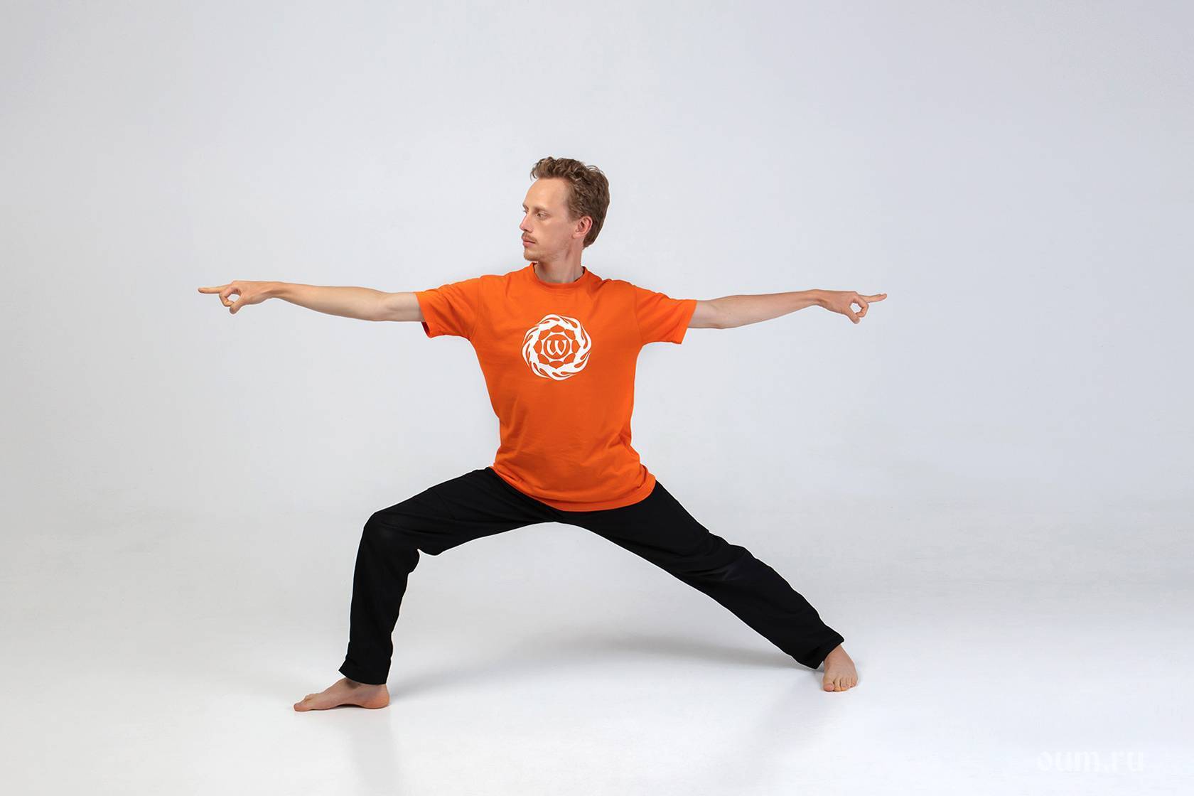 Чатуранга дандасана или поза посоха на четырех опорах в йоге: техника выполнения, польза, противопоказания