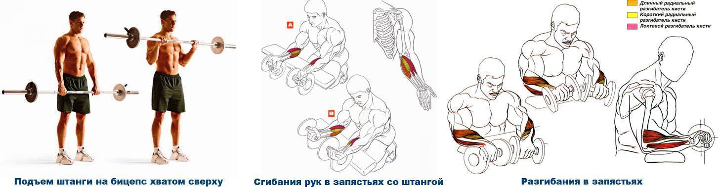 Как накачать мышцы предплечья - wikihow