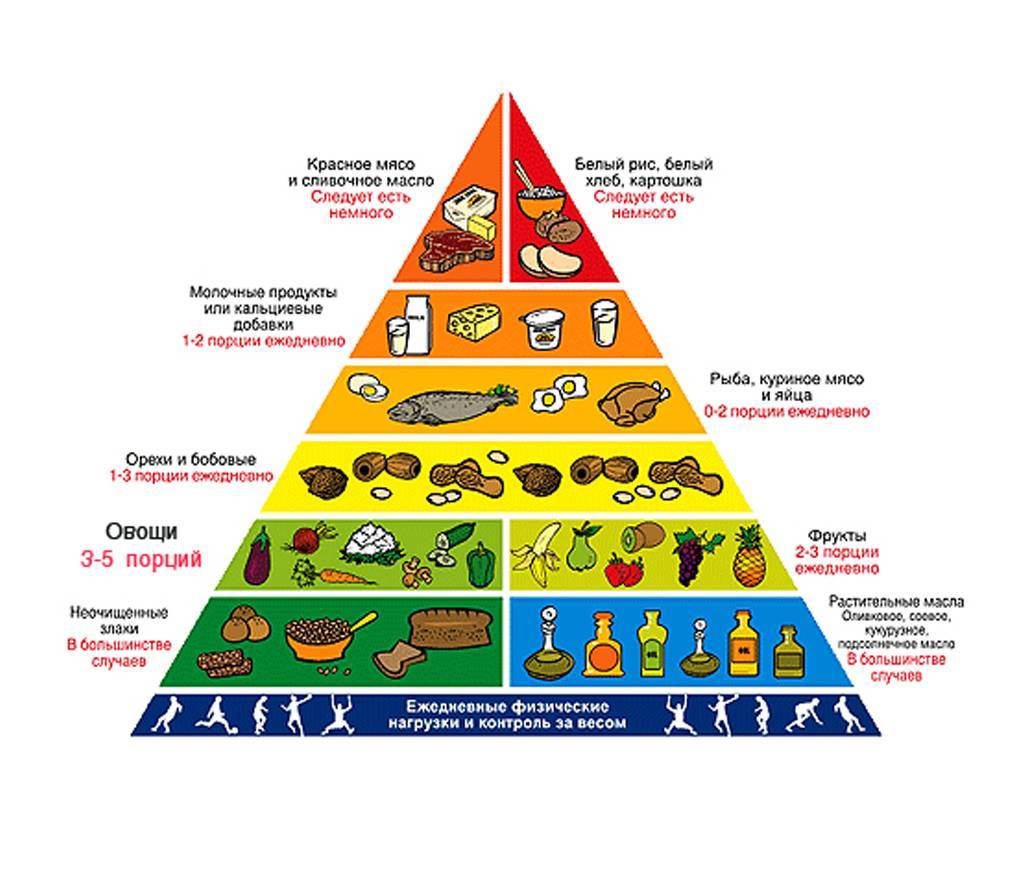 Пищевая пирамида или пирамида правильного питания человека | irksportmol.ru