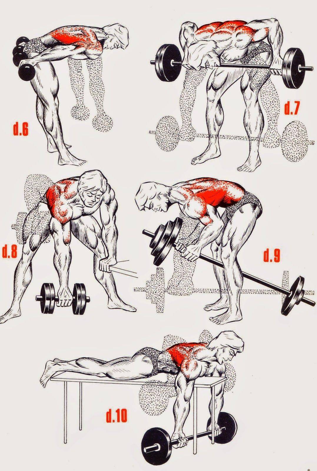 Как накачать мышцы: основные принципы и правила для набора мышечной массы
