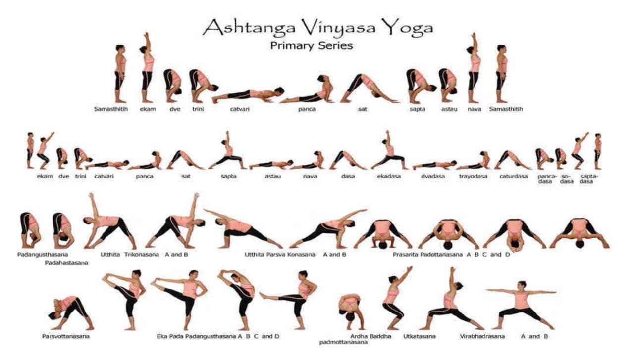 Аштанга йога что это : виньяса для начинающих, асаны, отзывы, упражнения