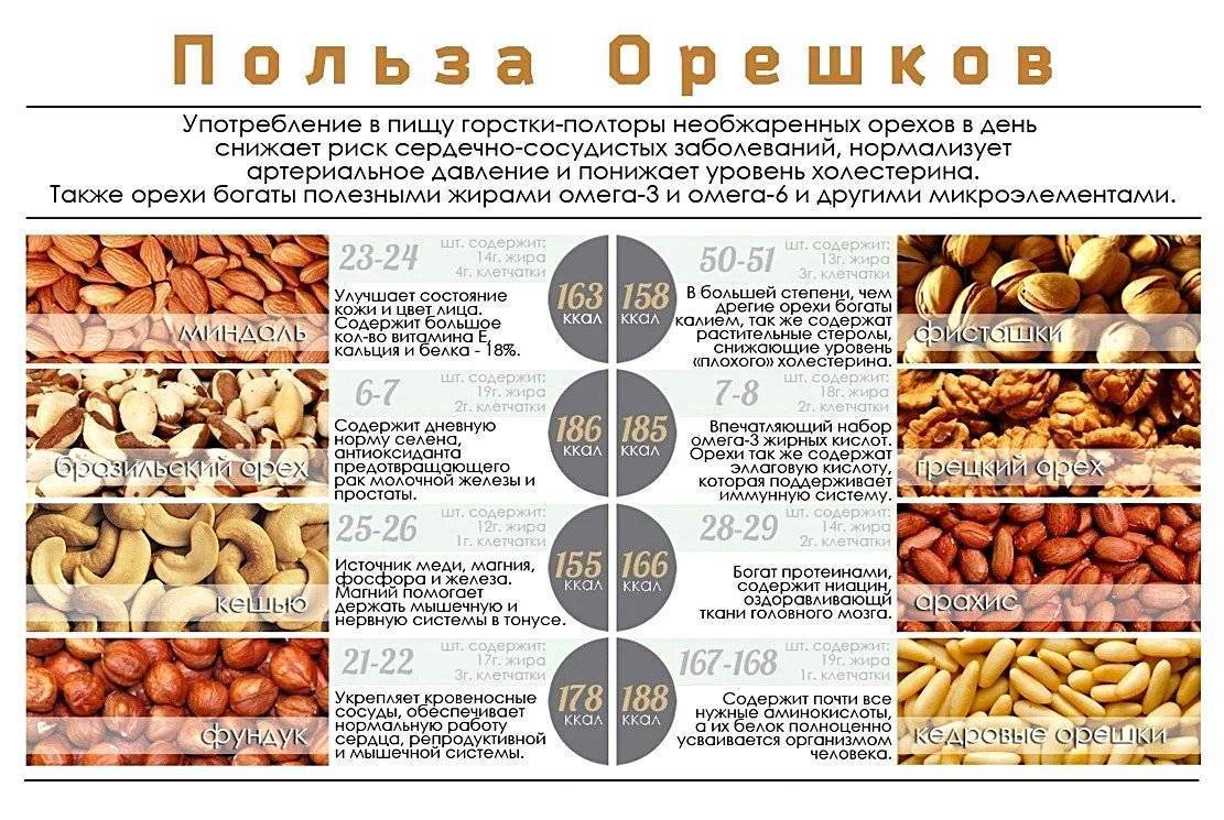 Орехи при похудении - особенности употребления, противопоказания и калорийность