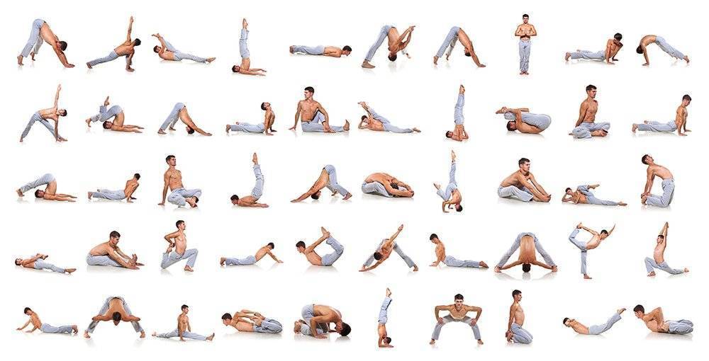 Асаны йоги для идеального пресса и узкой талии: позы для похудения живота в картинках