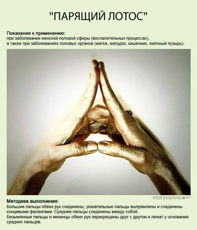 Мудра «света». йога для пальцев. мудры здоровья, долголетия и красоты