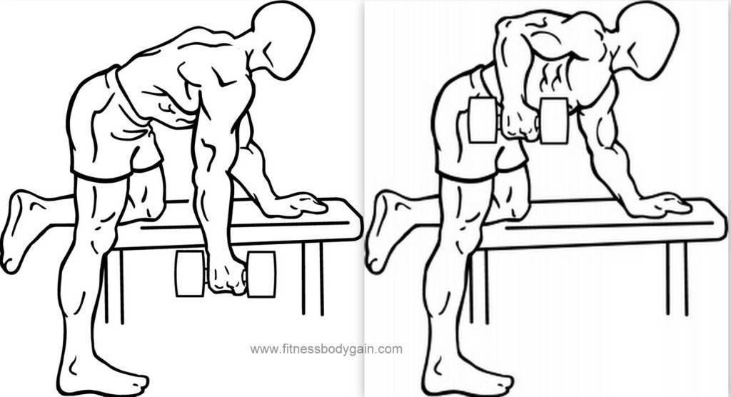 Тренировка трехглавой мышцы в тренажерном зале