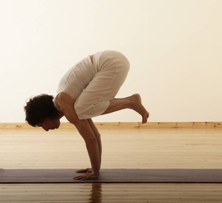 Раджа йога: классическая методика для начинающих