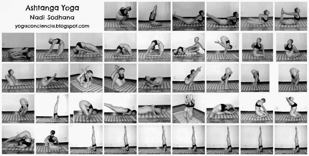Виньяса-йога для начинающих: пошаговые видео уроки для занятий на дому - все курсы онлайн