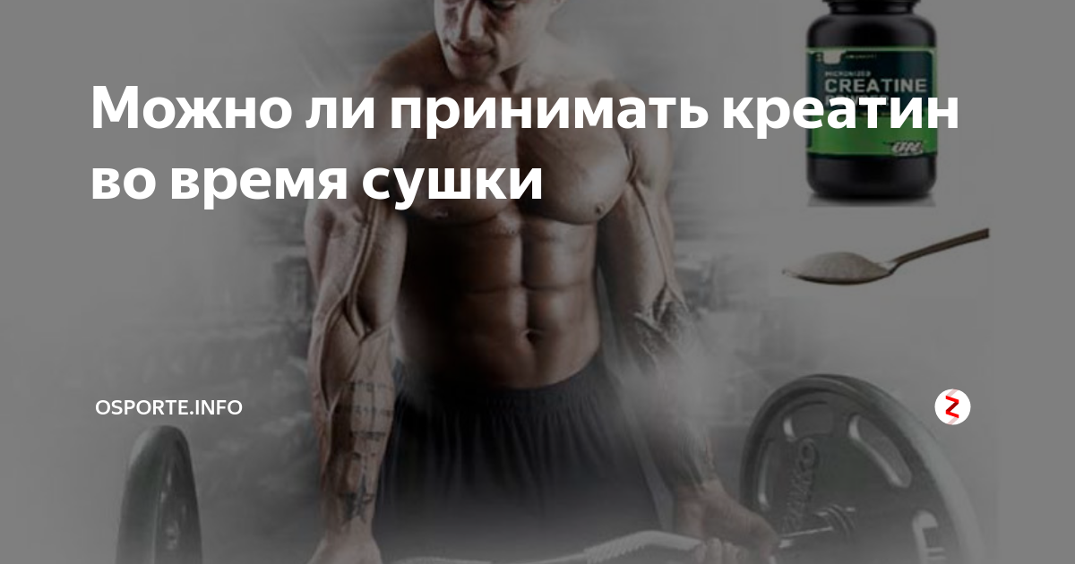 Приём протеина без тренировок | irksportmol.ru