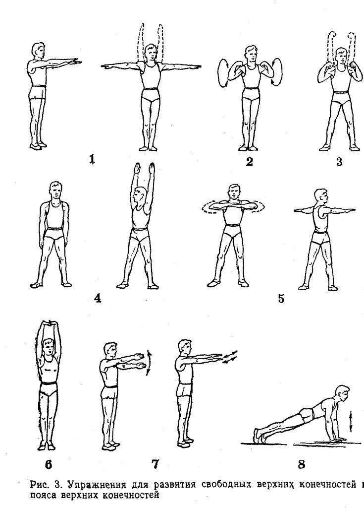 Упражнения для силы рук: комплексы и рекомендации по развитию мышц рук