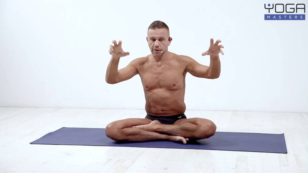 Йога 23 для начинающих: основные комплексы и что это такое