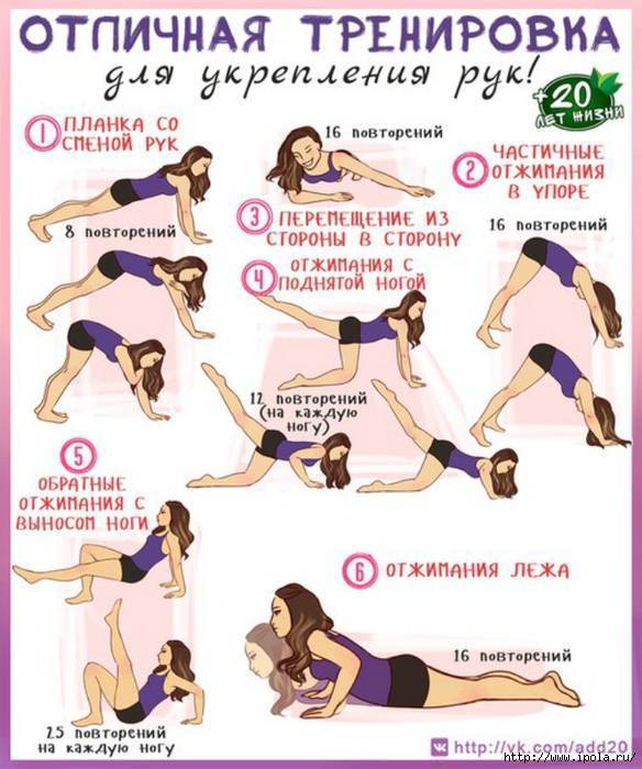 10 упражнений для рук в домашних условиях: самый эффективный комплекс тренировок для укрепления мышц у женщин и мужчин
