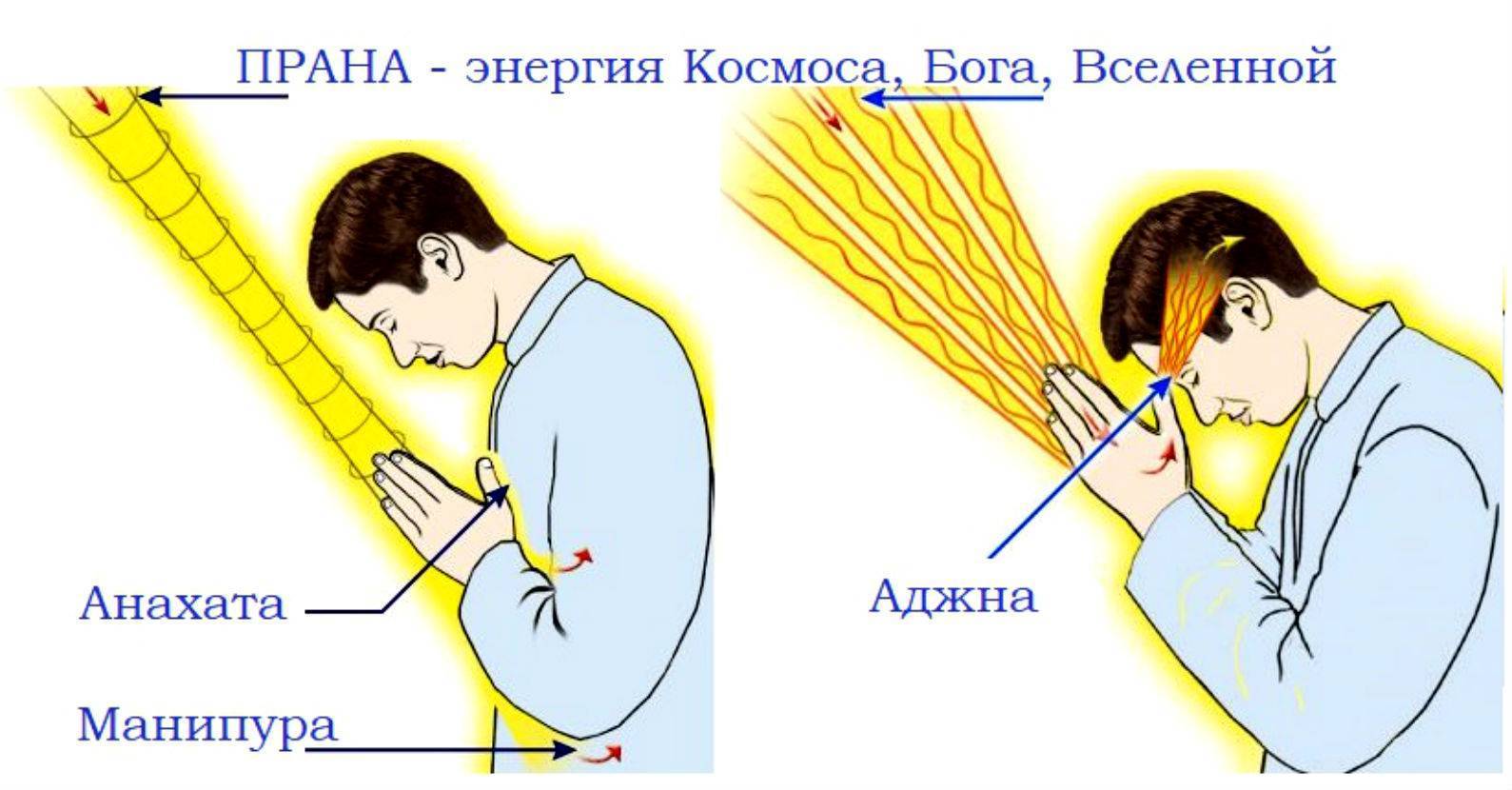 Рядом с домом вики обозначенным на плане цифрой 4 находится одноэтажный магазин