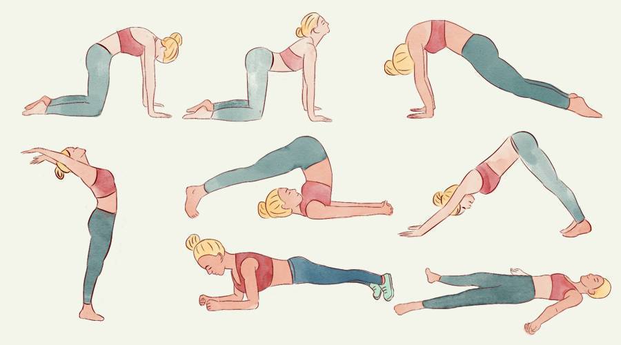 Йога для спины и позвоночника: 8 асан (упражнений) для начинающих при болях в спине и пояснице