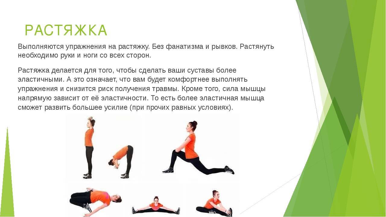 Растяжка всего тела: программа тренировок с упражнениями на гибкость и видеоуроки | rulebody.ru — правила тела