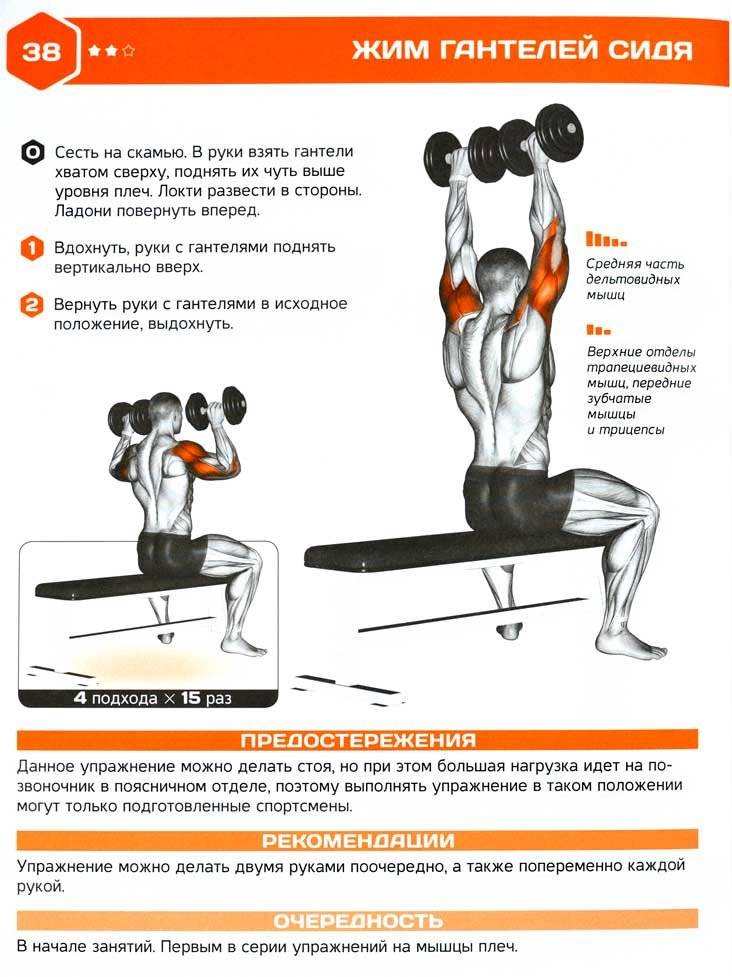 Жим на тренажере от груди сидя: подробная техника выполнения упражнения