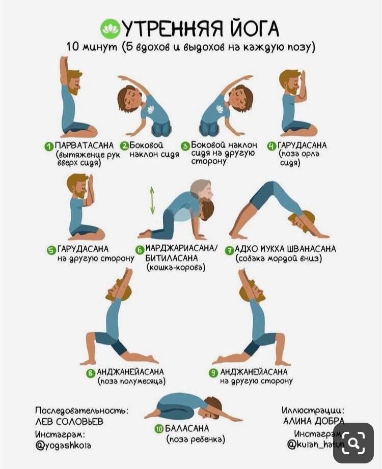 Утренняя йога для начинающих: комплекс йоги для зарядки по утрам