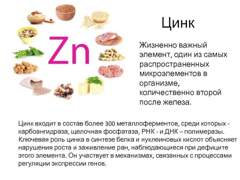 Цинк: в чем содержится, суточная норма, польза для организма. продукты, содержащие цинк в большом количестве :: syl.ru