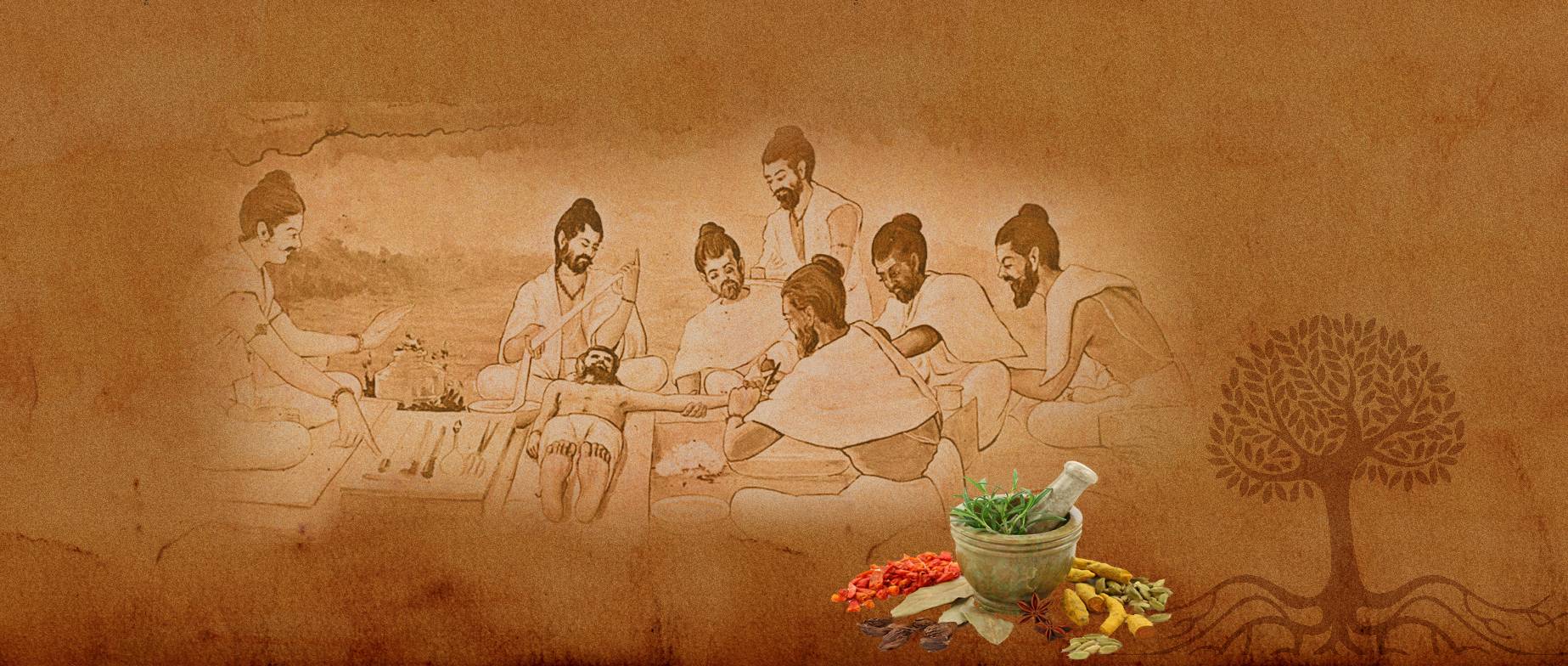 Аюрведа - индийская наука о здоровом образе жизни. основные принципы и термины