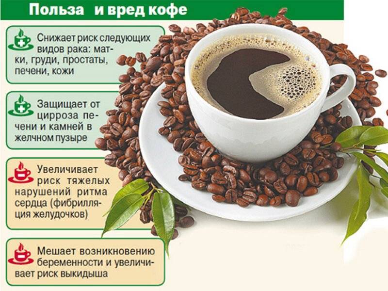 Кофе – польза и вред для здоровья, влияние на организм человека