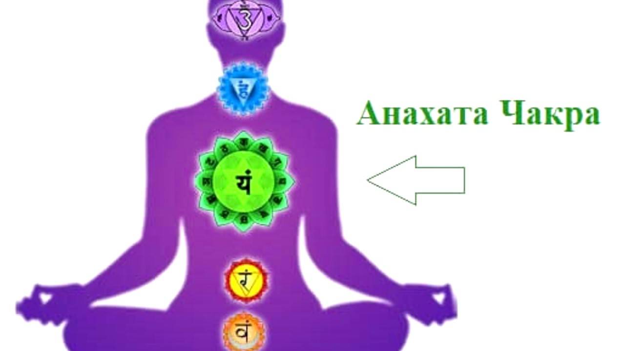 Анахата чакра (сердечная): где находится и за что отвечает