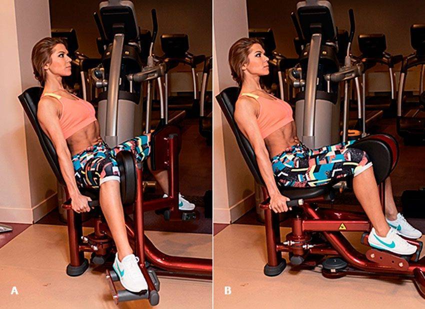 Сведение ног в тренажере сидя: какие мышцы работают, техника выполнения для женщин и мужчин