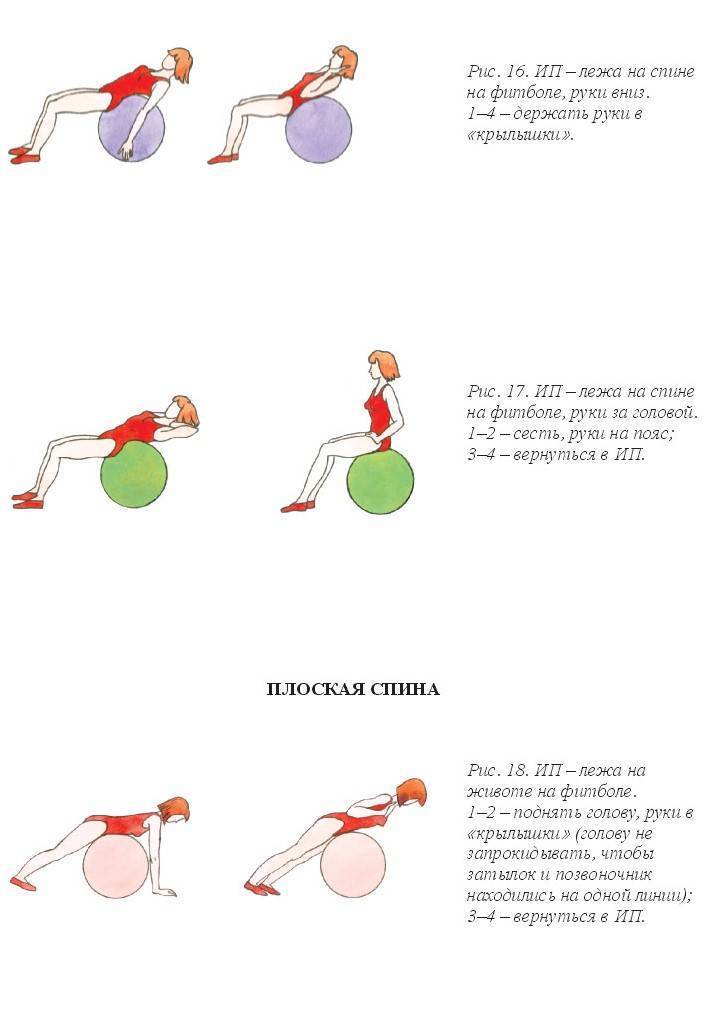 Упражнения на фитболе для мышц спины и позвоночника в домашних условиях