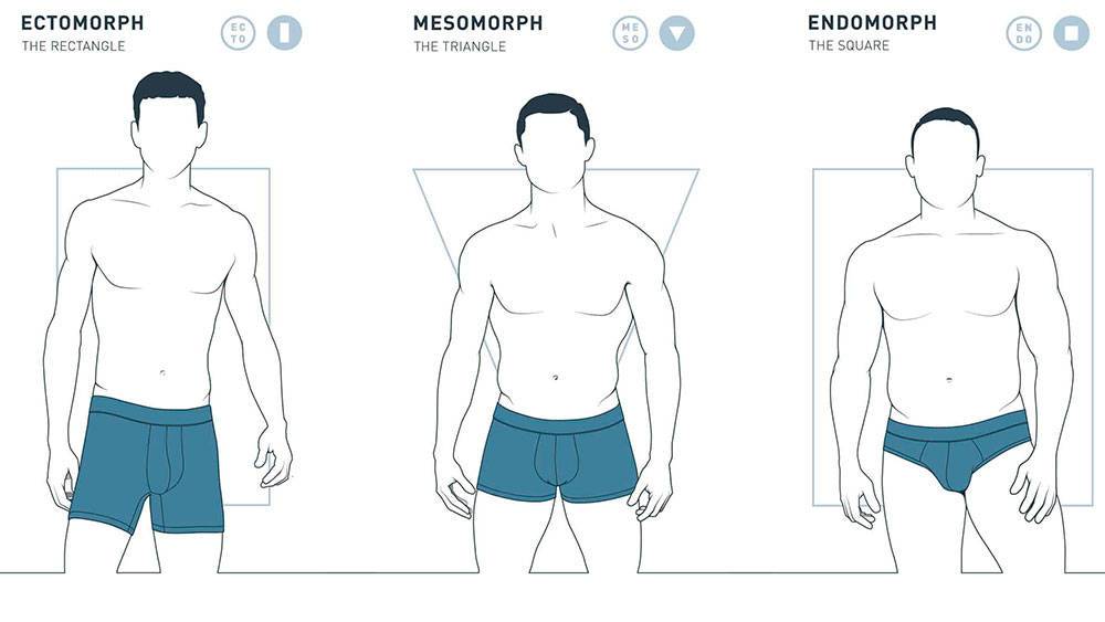 Мезоморф – рекомендации для атлетического типа телосложения