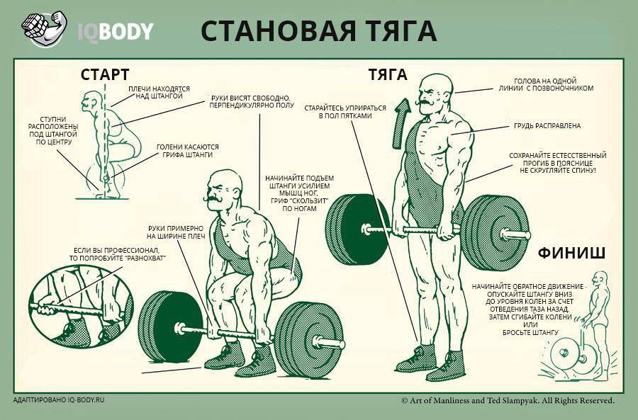 Становая тяга: какие мышцы работают, виды и техника выполнения упражнения