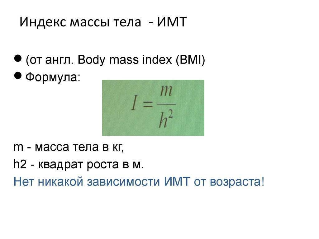 Индекс массы тела – калькулятор имт