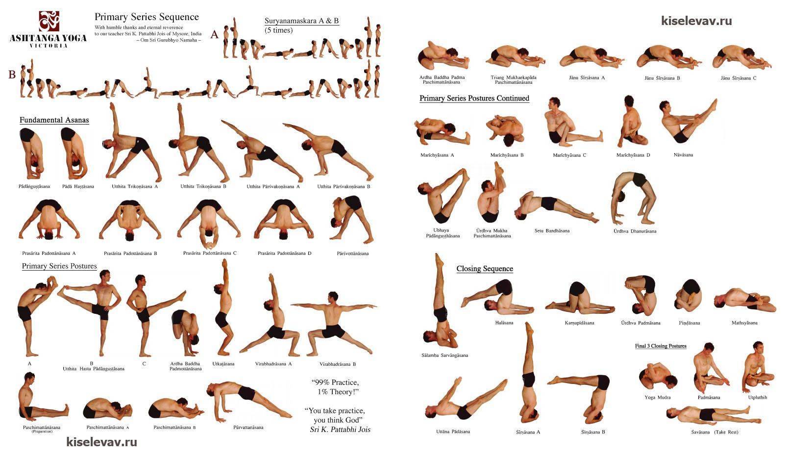 Хатха-йога для начинающих