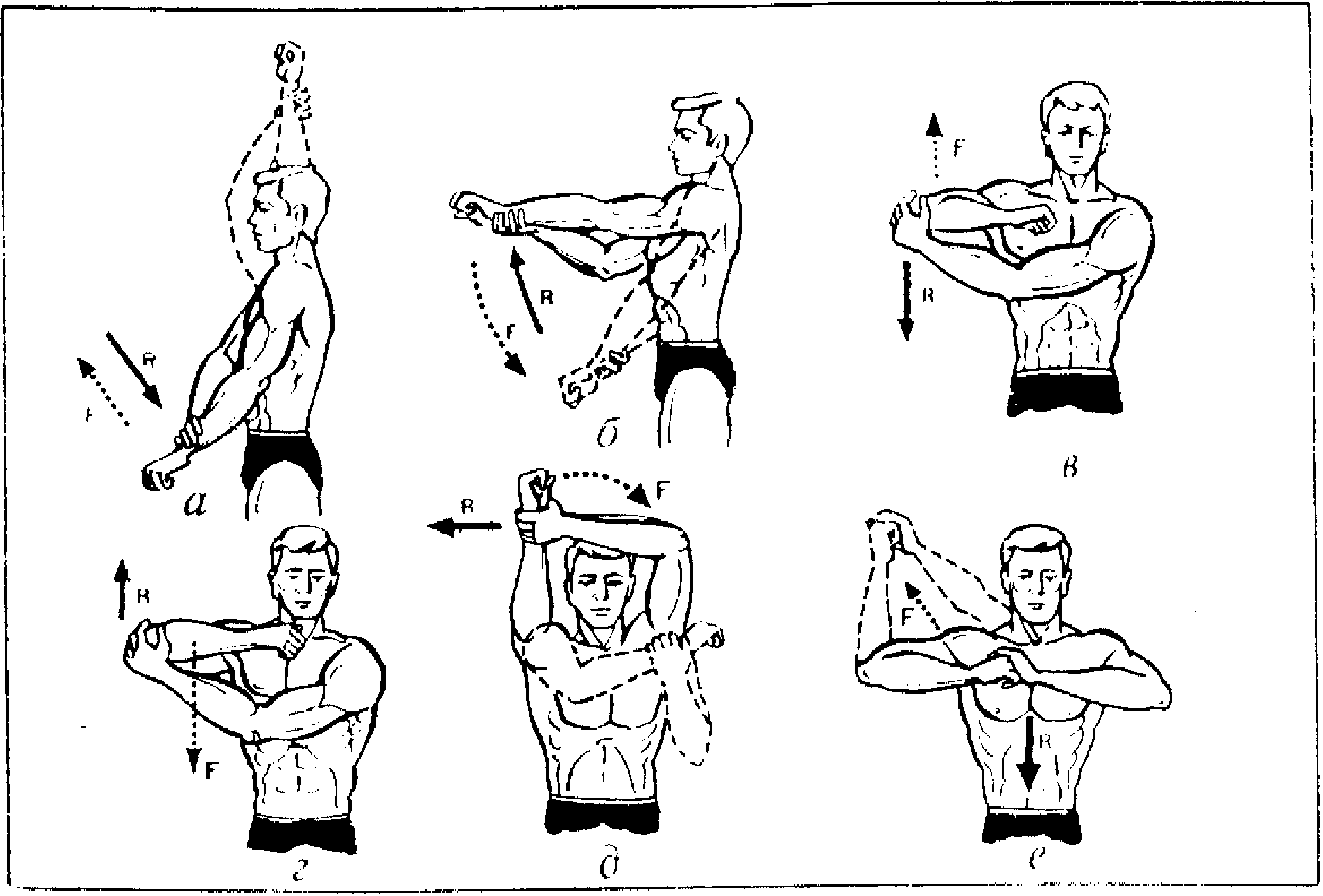 гимнастика для рук картинки