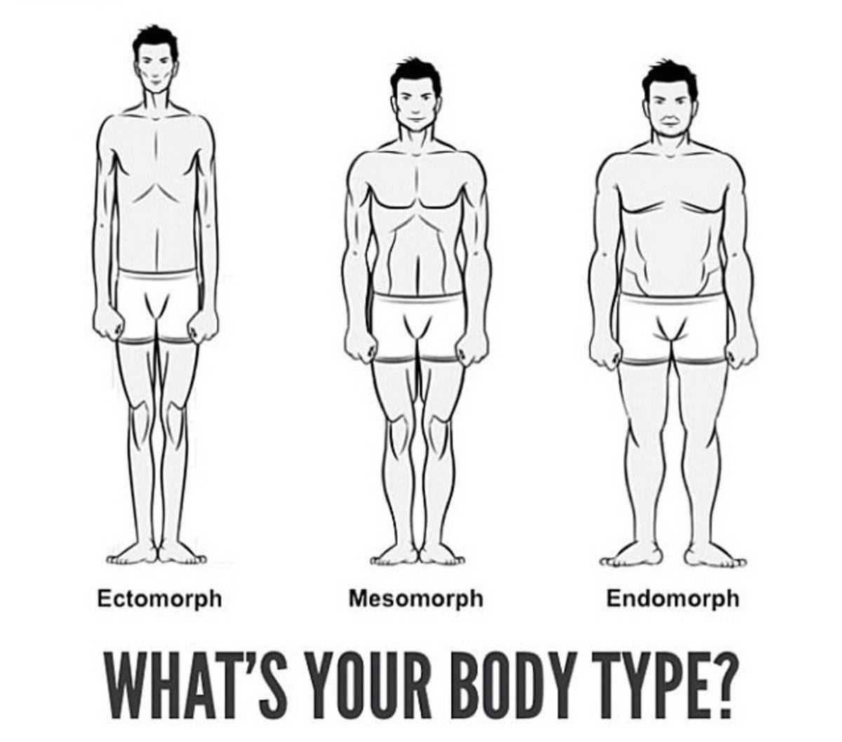 Телосложение: идеальные пропорции тела эктоморфа, эндоморфа и мезоморфа, как производить замеры частей тела, как достичь идеальных пропорций телосложения