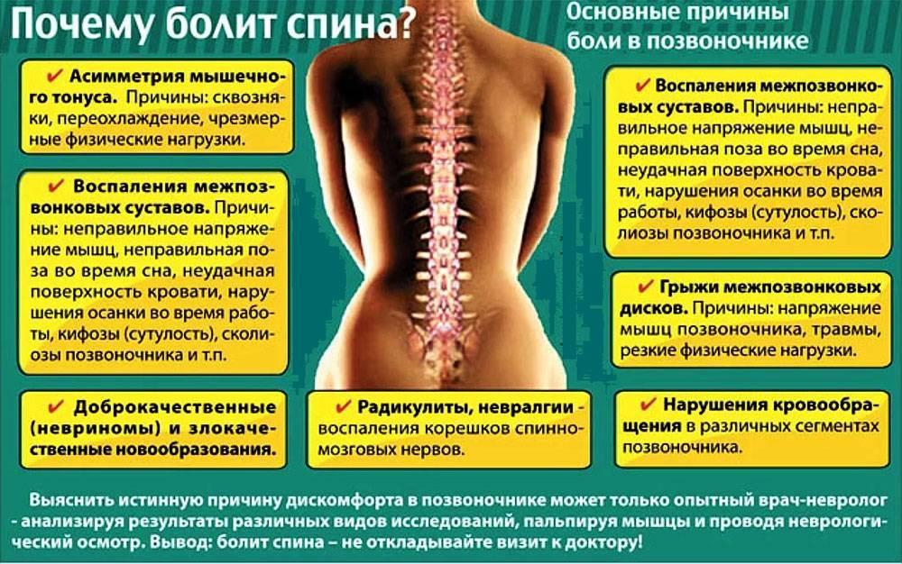 Что делать, если болит спина? к какому врачу обращаться, диагностика, лечение и профилактика болей в спиней