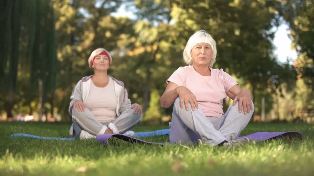 Йога для пожилых людей (артур паталах): 50 - 60 лет и старше: комплекс упражнений для начинающих