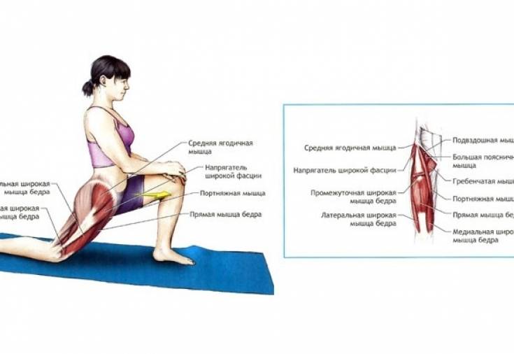 4 упражнения для коррекции переднего наклона таза | kinesiopro