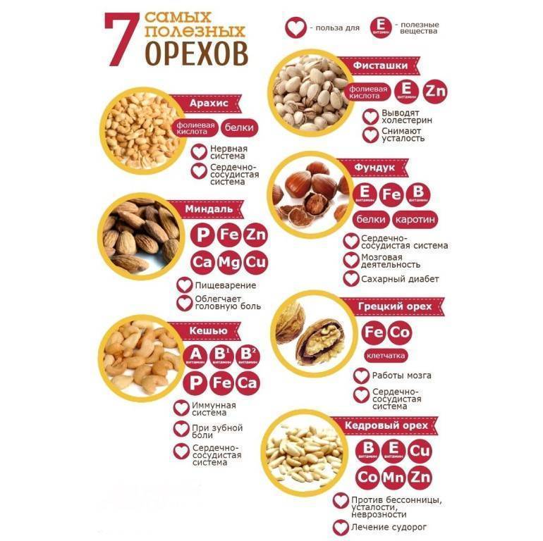 Наглядные порции и их калорийность с фото: сколько орехов можно съедать в день при похудении?