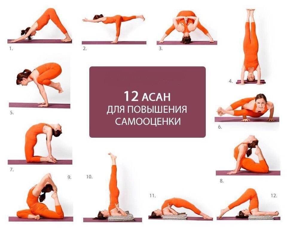 Топ-30 асан для начинающих: подборка упражнений из йоги